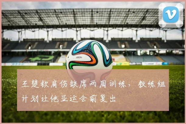 王楚钦肩伤缺席两周训练,教练组计划让他亚运会前复出