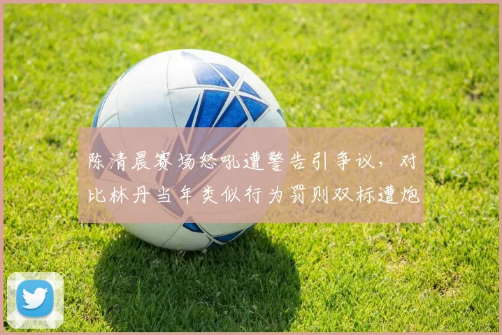 陈清晨赛场怒吼遭警告引争议,对比林丹当年类似行为罚则双标遭炮轰